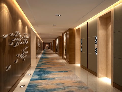 Hotel carpet care and commercial carpet cleaning for hotels — guest room corridor with professional-grade carpet appearance